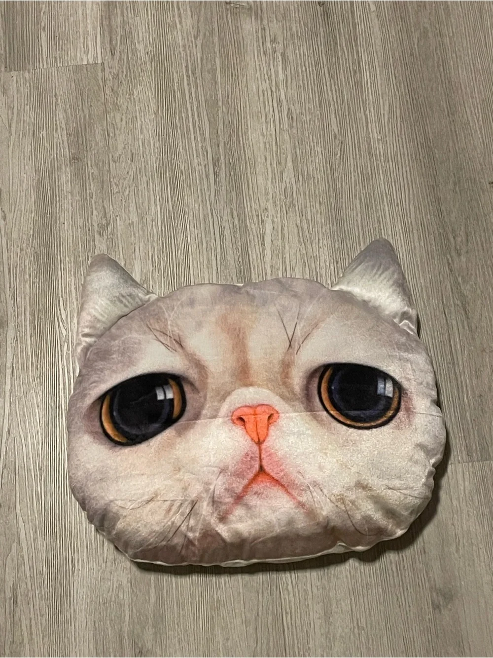 Plush Cat Face Accent Pillow - Cream & Pink Nose